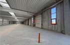 Vanzare depozitspatiu industrialhala Chitila - Rudeni, ILFOV