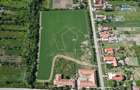 Casa cu istorie, teren de aproape 2 hectare si poten?ial rar | Petrova - 6