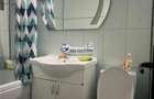 Apartament 3 camere Hala Centrala - 550 EURO - 17