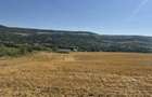 Teren de 15000 mp, în Răducăneni - 1