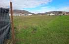 Teren de vanzare Stefanestii Noi Intravilan 1200mp sau 2x600mp + drum - 4