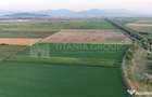 Teren extravilan, 8700 mp, pretabil agricultura sau inve... - 2