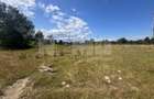 Teren Itcani | 31 Ari | Extravilan | Deschidere 11.5 MP | 93000 Euro - 3