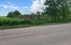 Teren intravilan 2300mp Sarulesti Sat Calarasi - 1