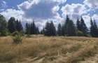 Teren 5.000 mp la Lacul Beli?-Fantanele - 1