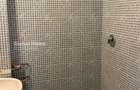 Apartament 4 camere | Stefan cel mare | Metrou | Mobilat si utilat | - 11