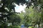 Apartament 2 camere + Birou, Politehnica, Proprietar - 11