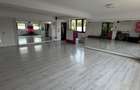 Spatiu Comercial la bulecard - 8