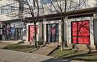 Spatiu comercial ultracentral - 3