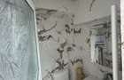 Apartament 2 camere parter , berarie str rahovei - 3