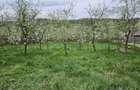 Intravilan in zona superba de deal- accept si schimb - 8
