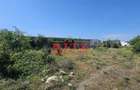 NOU! Teren intravilan, S= 2793 mp, cu constructie, Zona Lic. Agricol! - 11