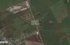 PROIECT REZIDEN?IAL CREVEDIA/ 17.600 MP /PUZ PENTRU 29 LOTURI - 6