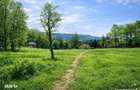 3.000mp de incantare montana cu cabana din lemn masiv, Zarnesti Tohani - 3