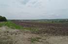 Teren extravilan, Cotofenii din Fata, jud Dolj -id 6954-0... - 5