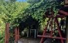 De vanzare casa cu teren intravilan livada 5700m2 - 15