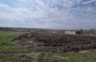 Teren intravilan 3.300 mp, Ilfov, utilita?i, construc?ie/investi?ie