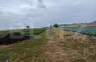 Teren de vanzare, 4700 mp, Strada Brazilor