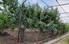 Casă cu 4 camere în Valea Soarelui - 4