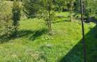 IDEAL pentru investi?ie,Vila Moieciu intre mun?ii Bucegi ?i Piatra Craiului - De v. sau schimb - 8