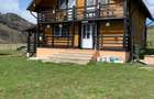 casa de vacanta Vama Suceva - 8