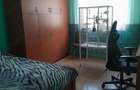 Casa P+1cu teren 1417mp in Giurgiu