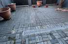 Apartament 2 camere în zona STRAZII ROMUL LADEA - 9