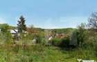 Teren intravilan 800 mp, zona pitoreasca zona Viforat - 3