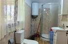 Teren 3100 mp cabana potential investitional Sura Mica Sibiu - 14