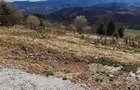 Vand 2 terenuri zona Cabana Rusu