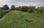 Teren de 500 mp, în Dărăști-Ilfov - 3
