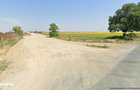 48 ha teren la iesire din Horia, zona de balastiere - 5
