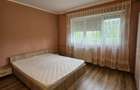 Apartament 2 camere de inchiriat Zona Nufarul, Oradea - 12