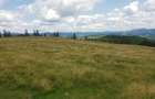 Vand 16 hectare de pasune