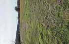 Teren Calugareni, jud. Giurgiu, intravilan arabil, 1235 mp - 2