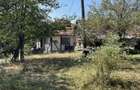 Vind casa, curte 2000 mp, pasune 6 ha, padure 3 ha, Prihodiste, jud HD - 11
