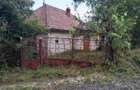 Casa batraneasca plus teren 9515 mp. Salatrucel sat Serbanesti - 6