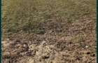 vand teren in Gostilele Calara?i