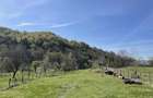 Teren cu cabana in Valsane?ti, Arge?, 3.730 mp, livada de meri, priveli?te spre padure - 3