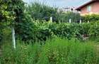 Teren exceptional 770 mp zona Vile Palazu Mare - 1