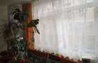 Particular vand apartament. - 1