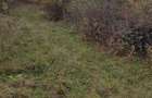 Teren 6703 mp cu 50m deschidere la DN73C, Domne?ti. Acces facil la drumuri importante. 6 EUR/mp - 3