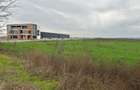 Teren de 45000 mp, în Brăilei - 2