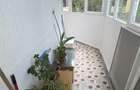 Pantelimon, Bd. Chisinau, Diham, Parcul National, semistradal - 16