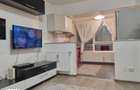 Apartament 1 camera Pacurari 350E - 3