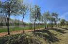 Teren intravilan de vanzare, 2000 mp, constructii case/duplex, Lipovei - 1