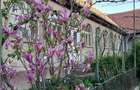 Casa si gradina de vanzare in Hitias la strada principala - 7