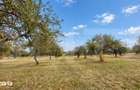 Livada in Zalan, 1100 mp I Natura, liniste si peisaj deosebit
