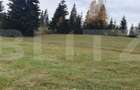 Teren intravilan, 4000 mp, zona Panaci - Vatra Dornei