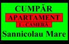 Apartament 1 camera in Sannicolau Mare - 4
